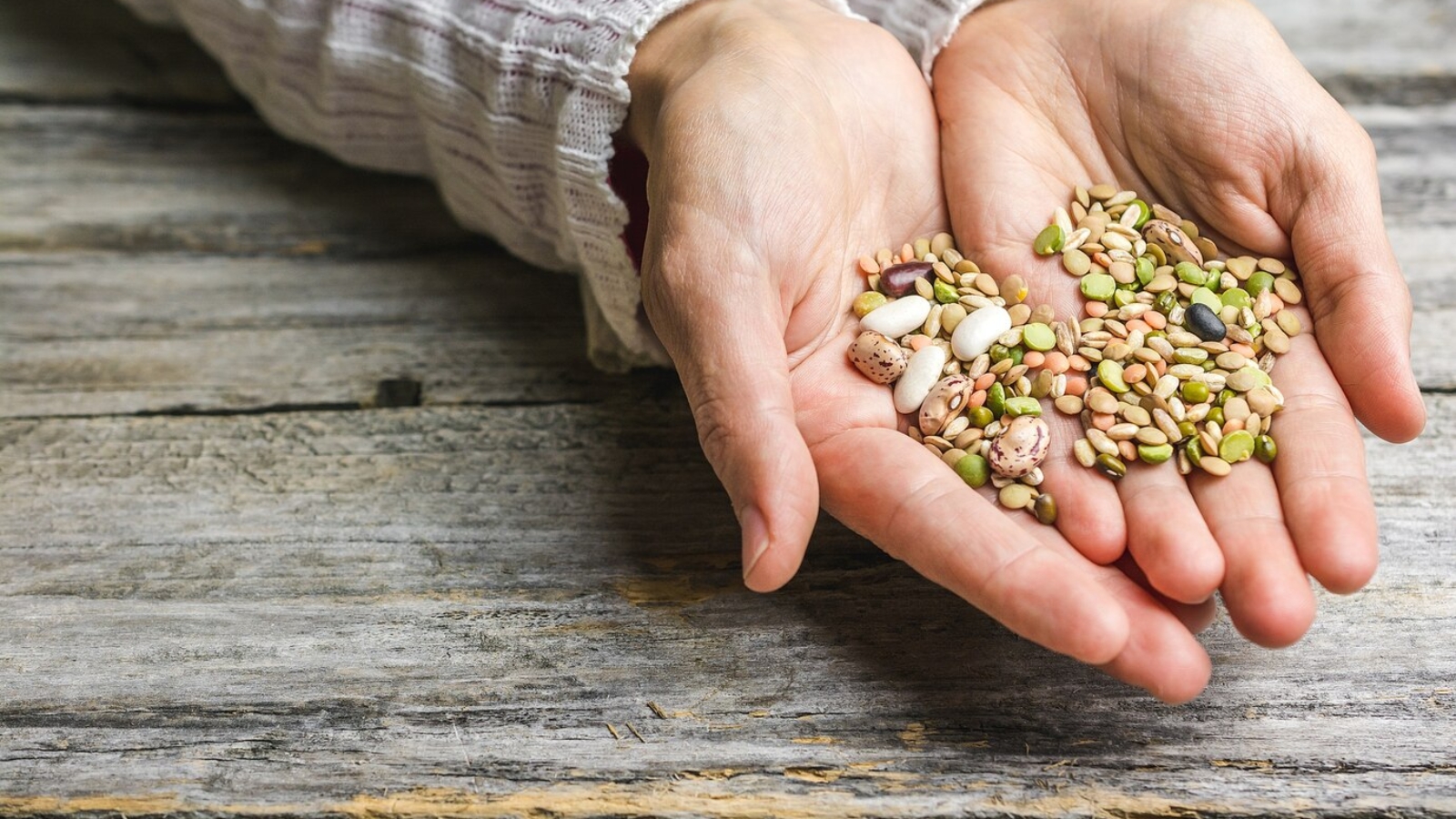 closeup-shot-female-hands-holding-mixed-beans_181624-25286