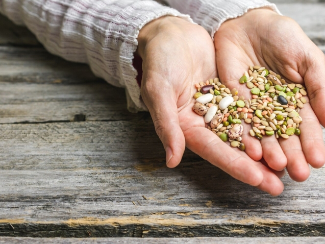 closeup-shot-female-hands-holding-mixed-beans_181624-25286