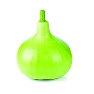 Bottle Gourd