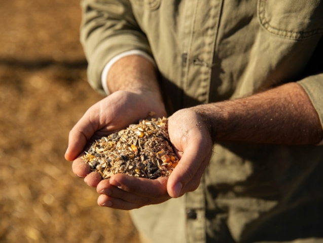male-farmer-holding-grains-his-hands_23-2149211737