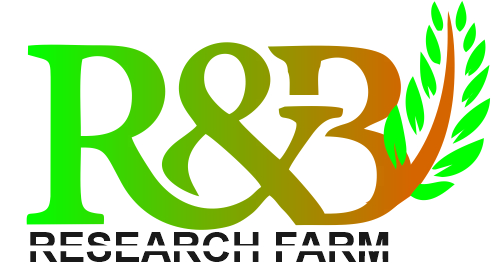 LOGO rand b